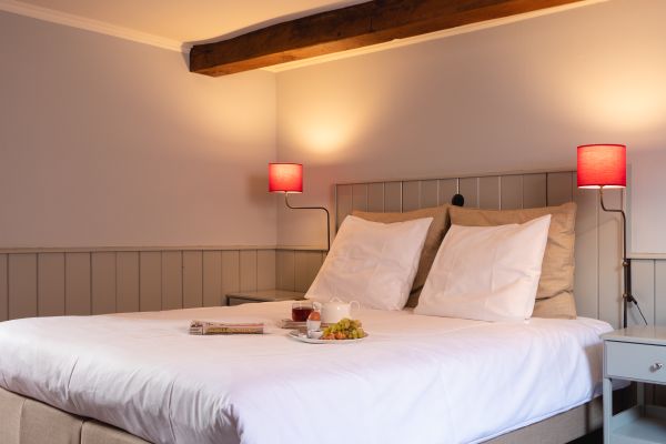 Hotel Herberg De Gouden Leeuw (Güeldres)